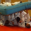 randori_mbg_018