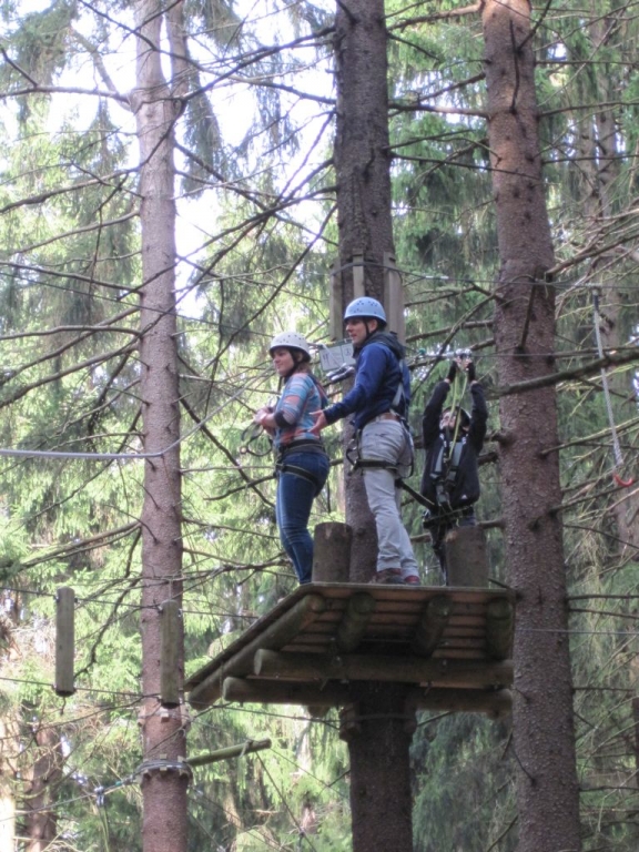 Kletterwald 2013