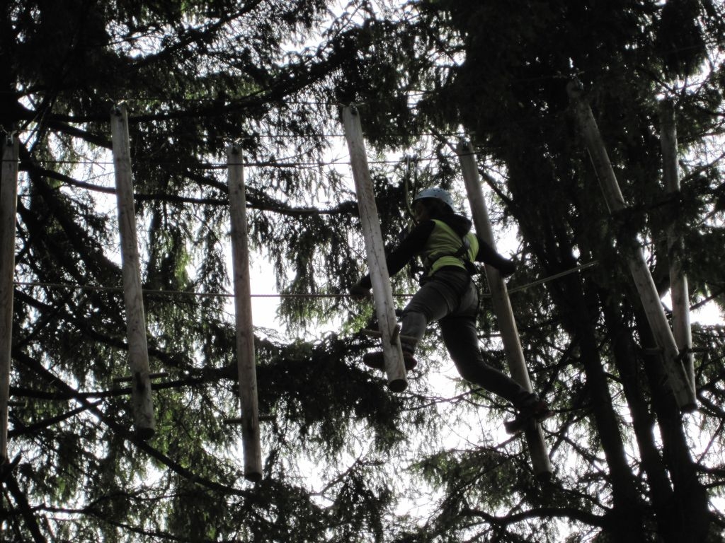 Kletterwald 2013