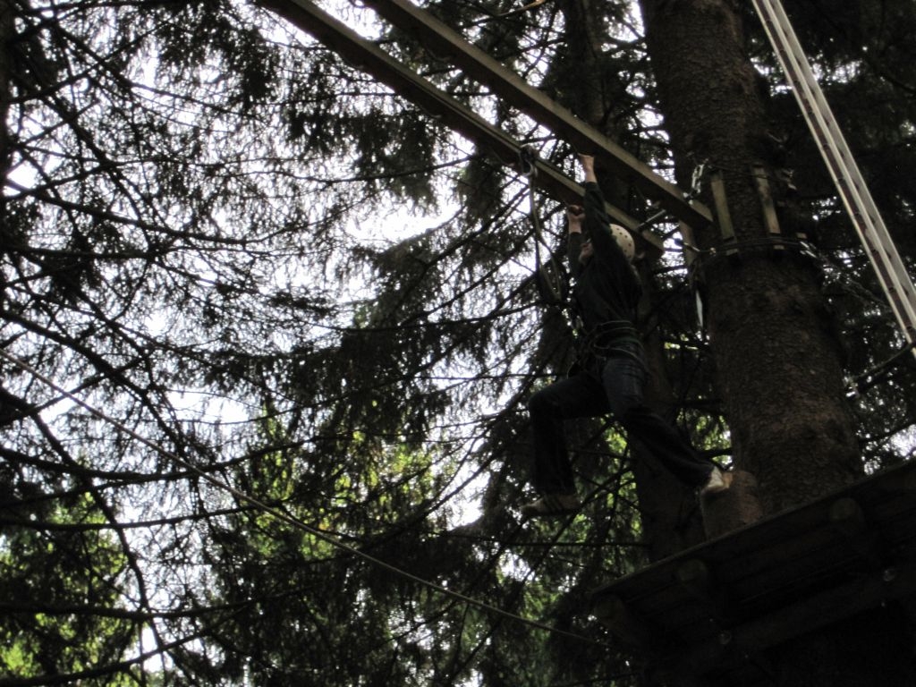 Kletterwald 2013