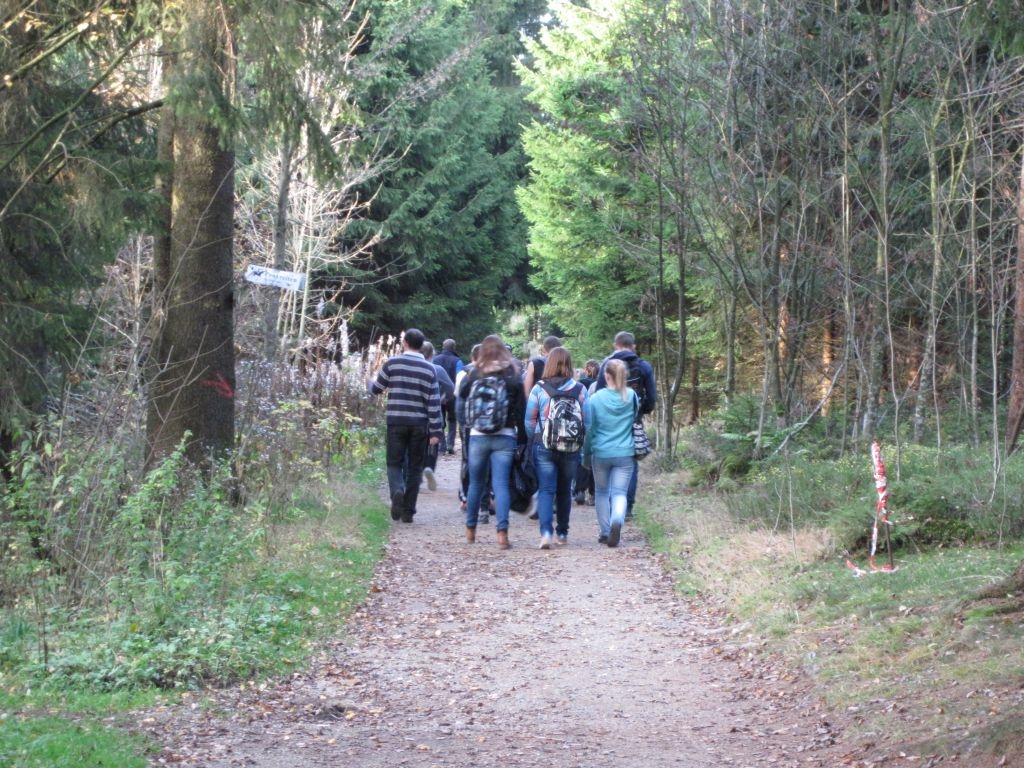 Kletterwald 2013