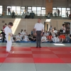 Kronwinkler Pantherturnier 2013