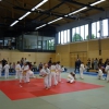Kronwinkler Pantherturnier 2014