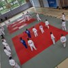 Judo aktiv gestalten 2021